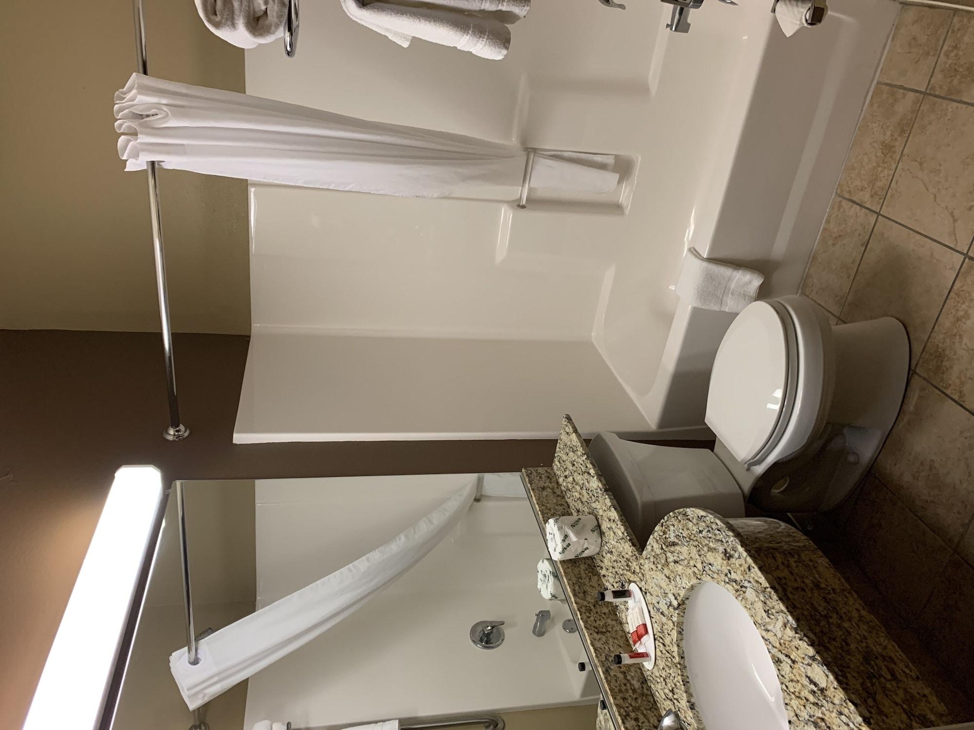 Microtel Inn & Suites-Sayre, Pa Екстериор снимка