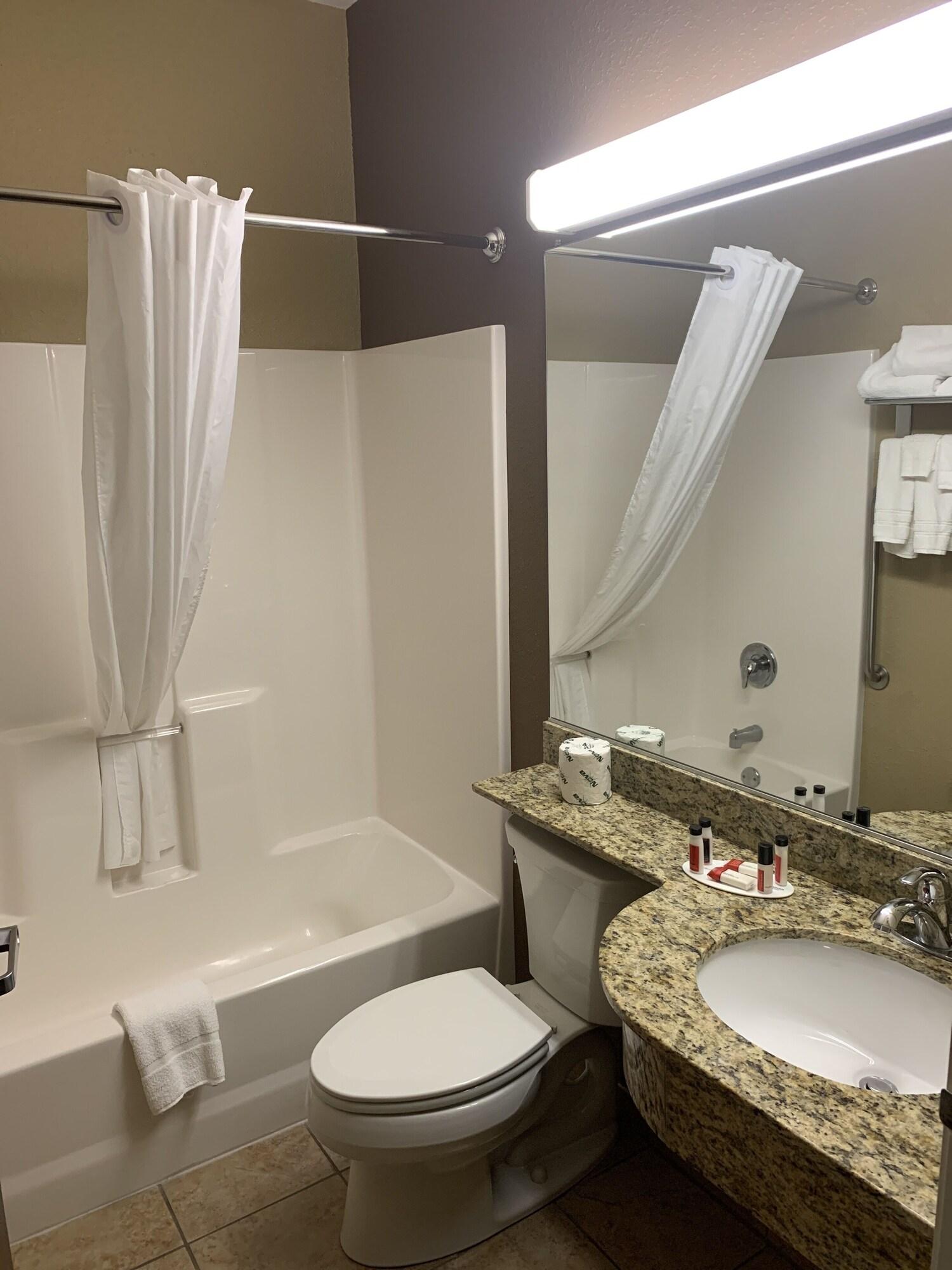 Microtel Inn & Suites-Sayre, Pa Екстериор снимка
